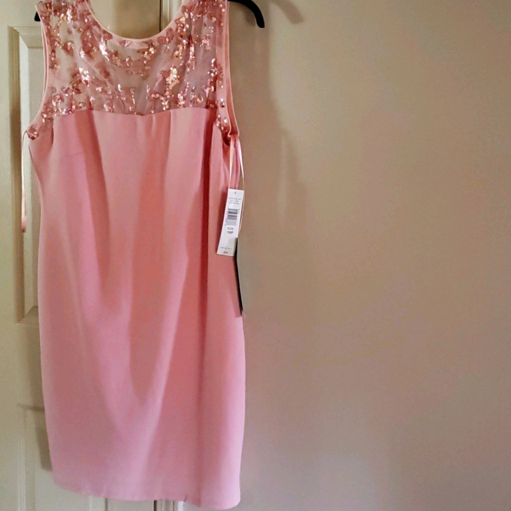 Blu Sage Blush dress
